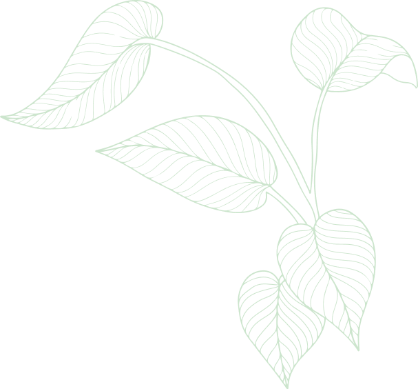 oils spices pulses wholesaler