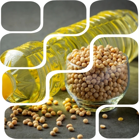 Our Journey of Quality and Commitment